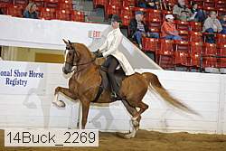 14buck_2269 proof