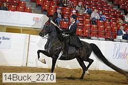 14buck_2270 proof