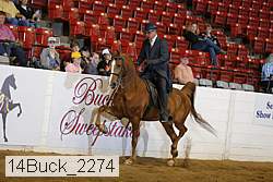 14buck_2274 proof