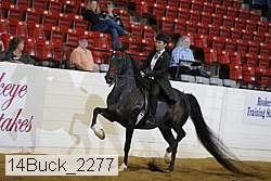 14buck_2277 proof