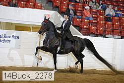 14buck_2278 proof