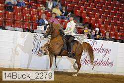 14buck_2279 proof
