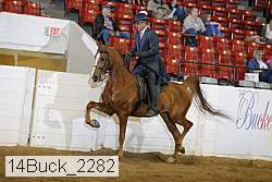 14buck_2282 proof