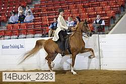 14buck_2283 proof