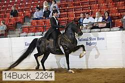 14buck_2284 proof