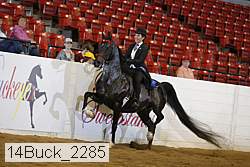 14buck_2285 proof