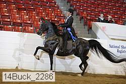 14buck_2286 proof