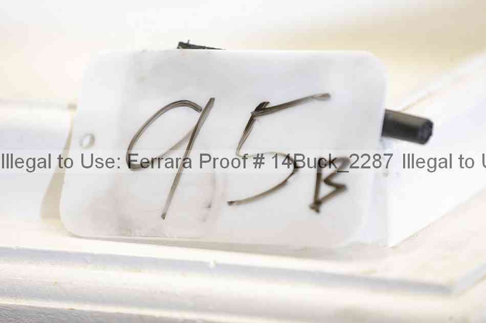 Proof 14buck_2287