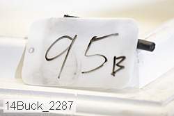14buck_2287 proof