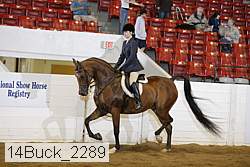 14buck_2289 proof