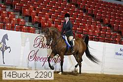 14buck_2290 proof