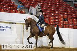 14buck_2291 proof