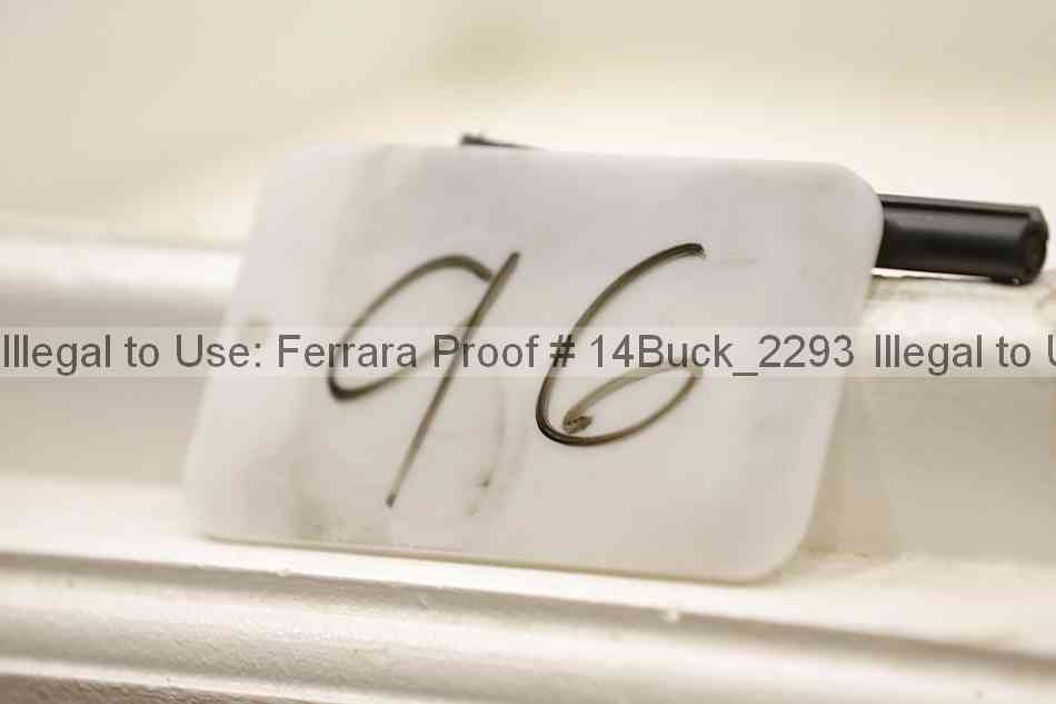 Proof 14buck_2293