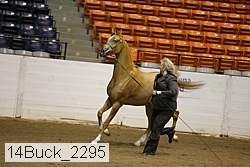 14buck_2295 proof