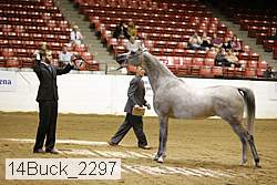 14buck_2297 proof
