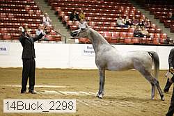 14buck_2298 proof
