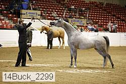 14buck_2299 proof