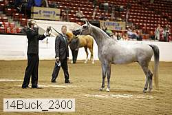 14buck_2300 proof