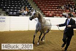 14buck_2301 proof