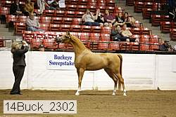 14buck_2302 proof