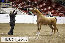 14buck_2303 proof