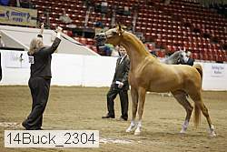 14buck_2304 proof