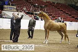 14buck_2305 proof