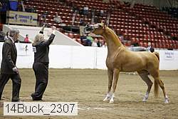 14buck_2307 proof