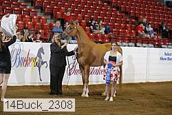 14buck_2308 proof
