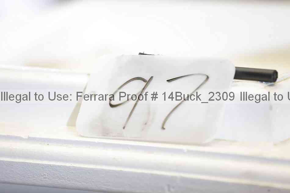 Proof 14buck_2309