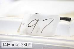 14buck_2309 proof