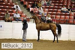 14buck_2312 proof