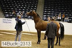 14buck_2313 proof