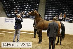 14buck_2314 proof