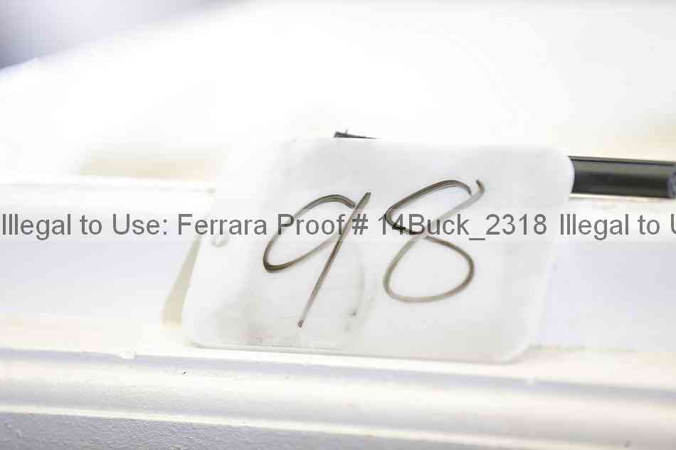 Proof 14buck_2318