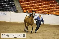 14buck_2319 proof