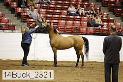 14buck_2321 proof
