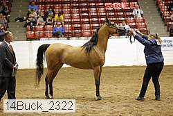 14buck_2322 proof