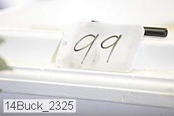 14buck_2325 proof