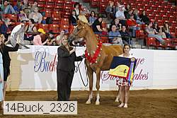 14buck_2326 proof