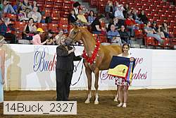 14buck_2327 proof