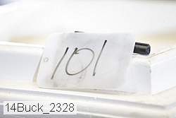 14buck_2328 proof