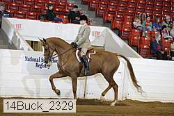 14buck_2329 proof