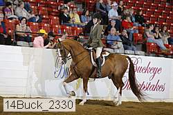 14buck_2330 proof