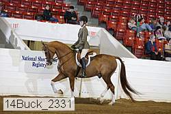 14buck_2331 proof