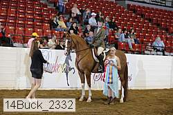 14buck_2332 proof