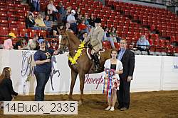 14buck_2335 proof