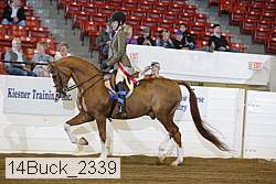 14buck_2339 proof