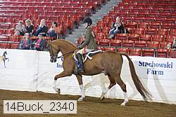 14buck_2340 proof