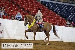 14buck_2342 proof